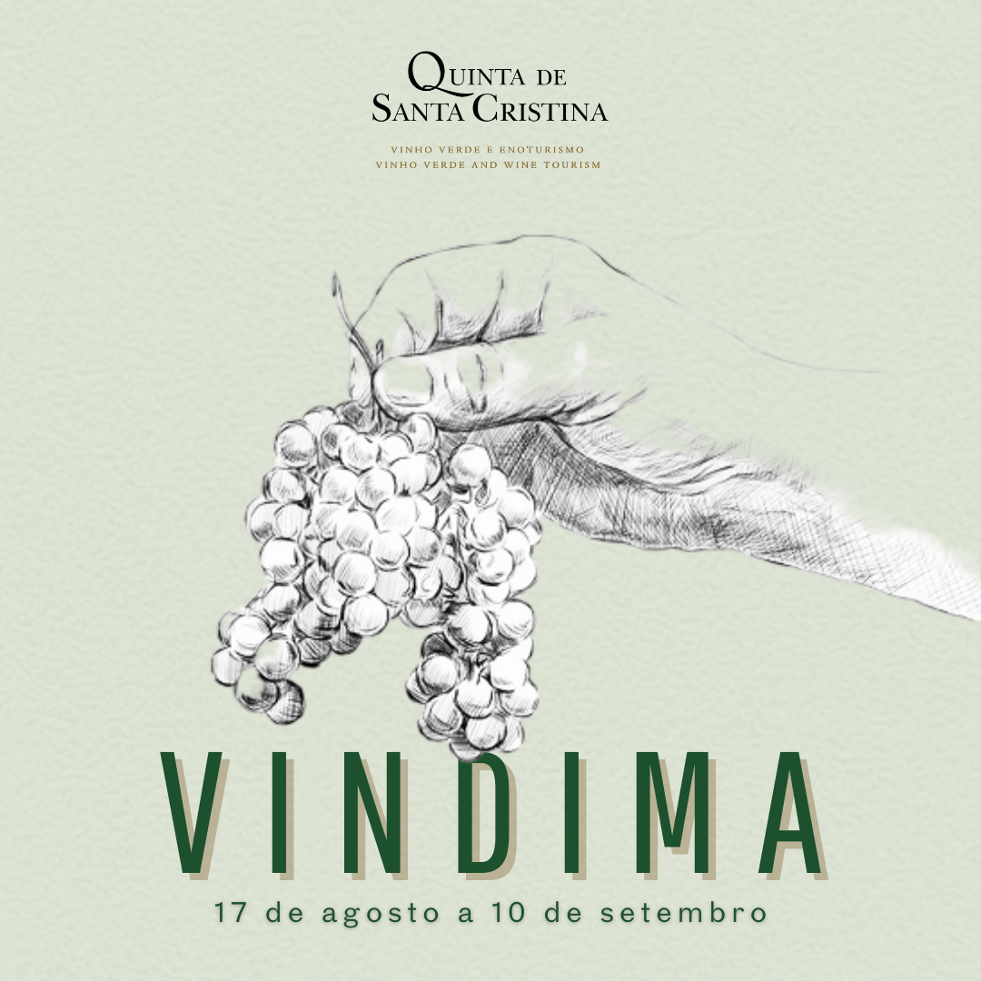 Vindima 2026